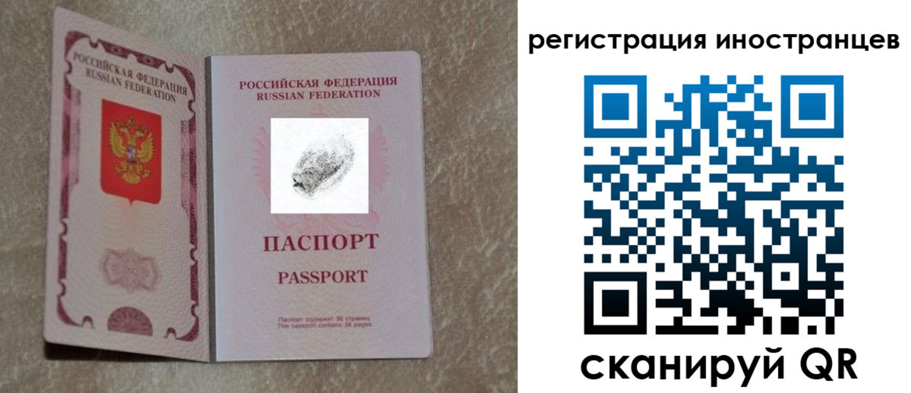 прописка законно в Стародубе